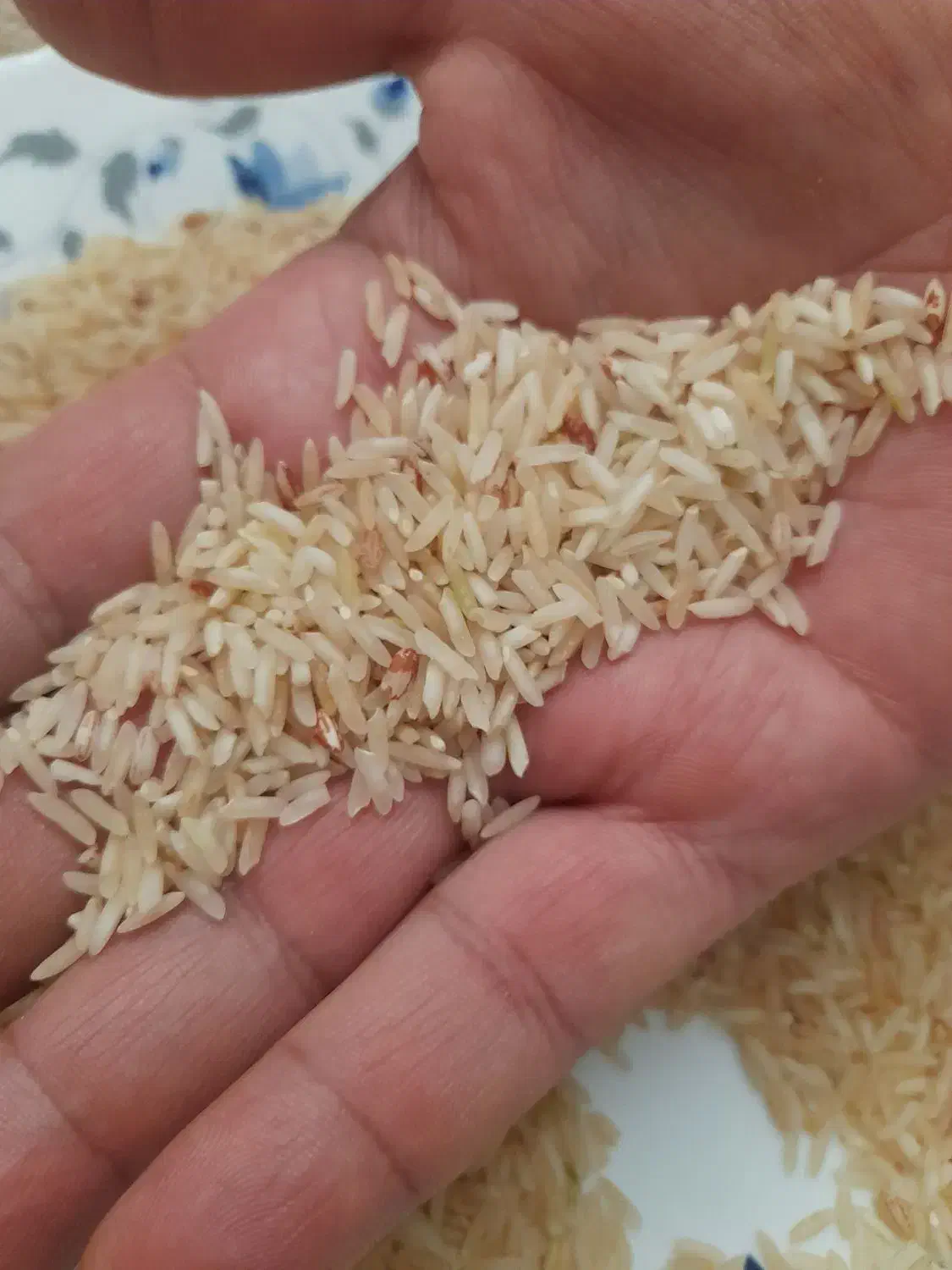 برنج محلی قهوهای عطری|خوردنی و آشامیدنی|تهران, خاوران|دیوار