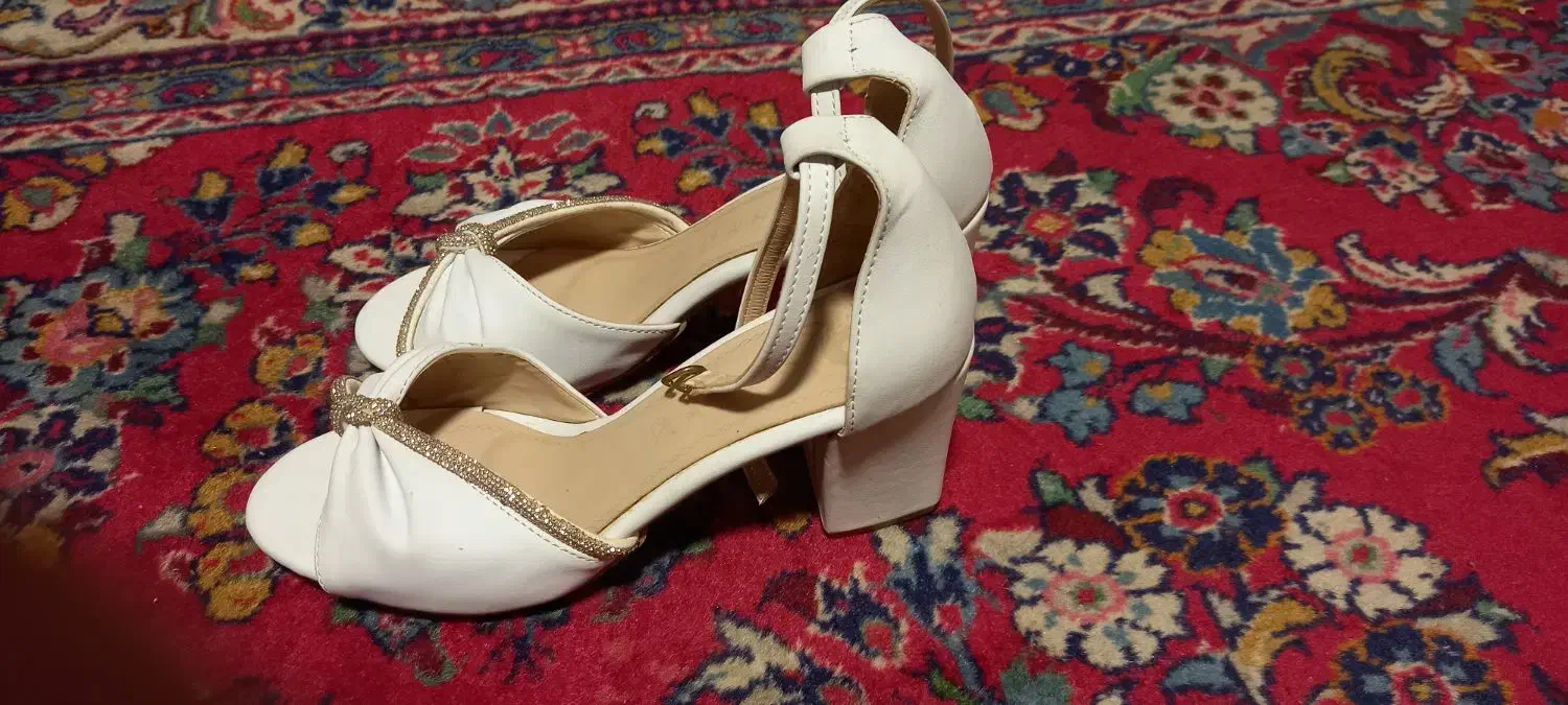 کفش|کیف، کفش، کمربند|همدان, |دیوار