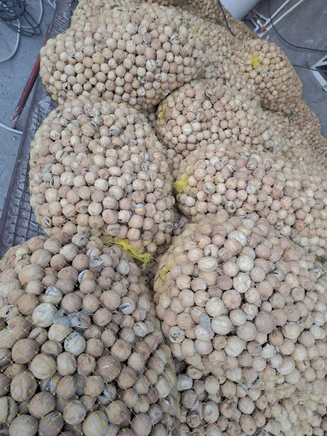 لیموخشک|خوردنی و آشامیدنی|اصفهان, قهجاورستان|دیوار