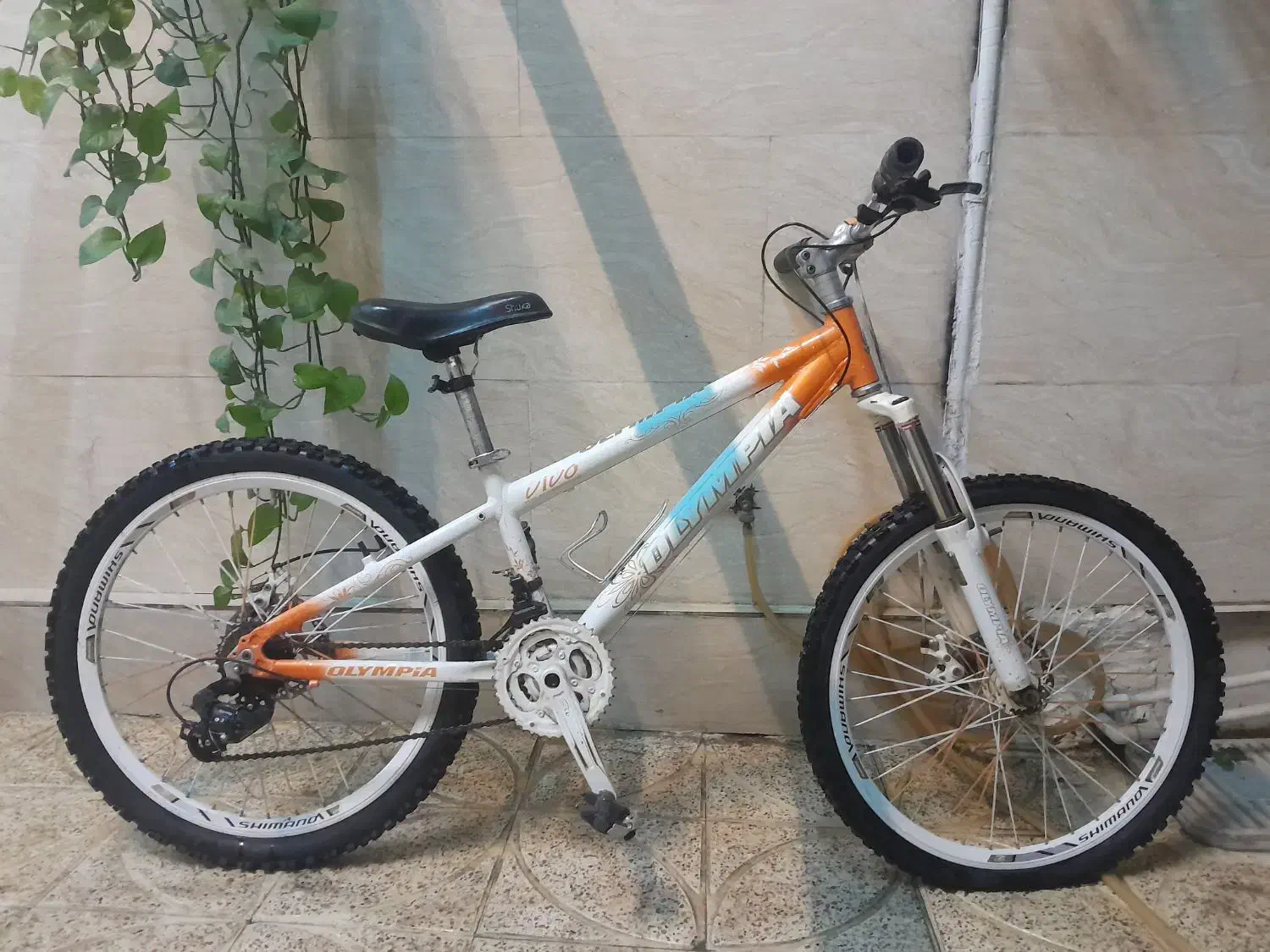 دوچرخه المپیا ۲۴|دوچرخه، اسکیت، اسکوتر|پاکدشت, پاکدشت (مامازند)|دیوار