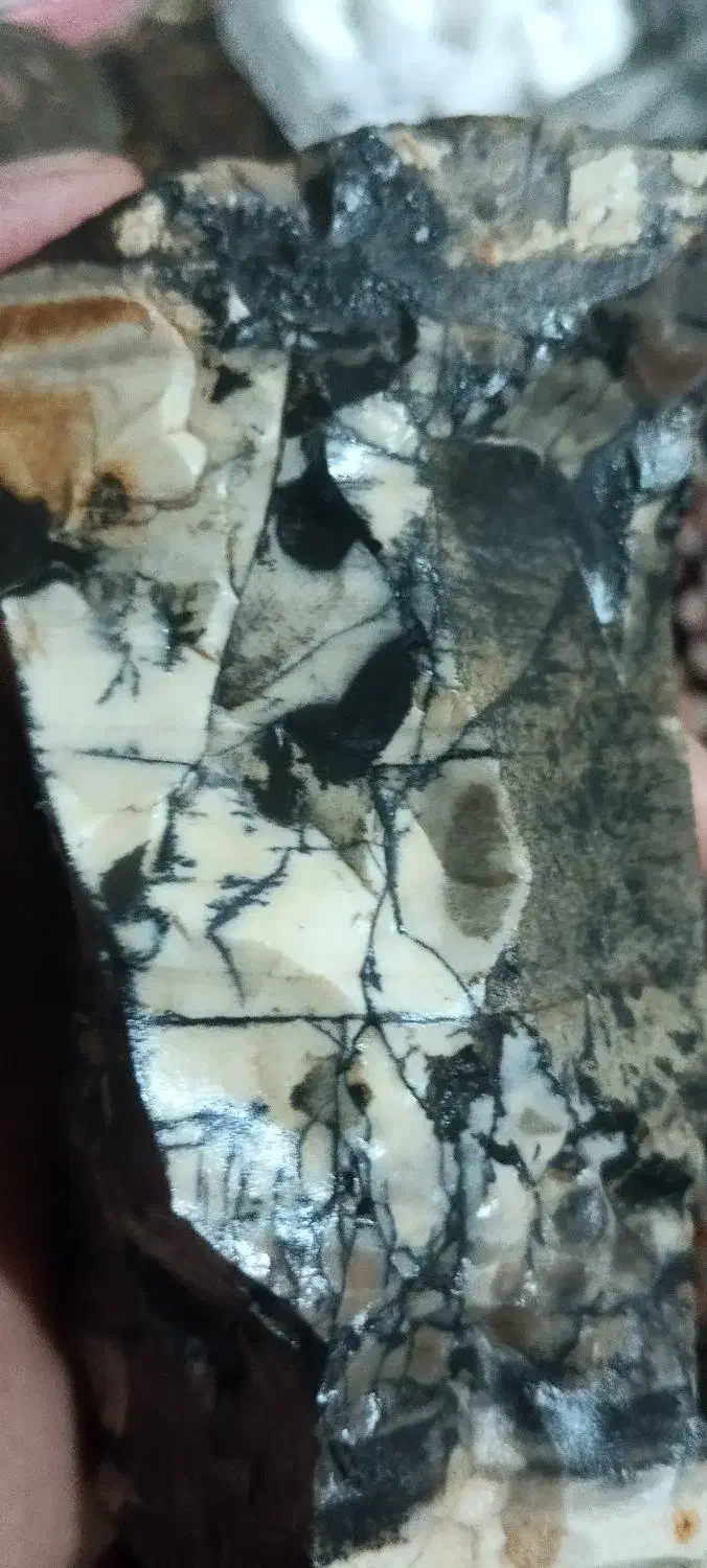 سنگ قیمتی|کلکسیون و سرگرمی|کرمانشاه, |دیوار