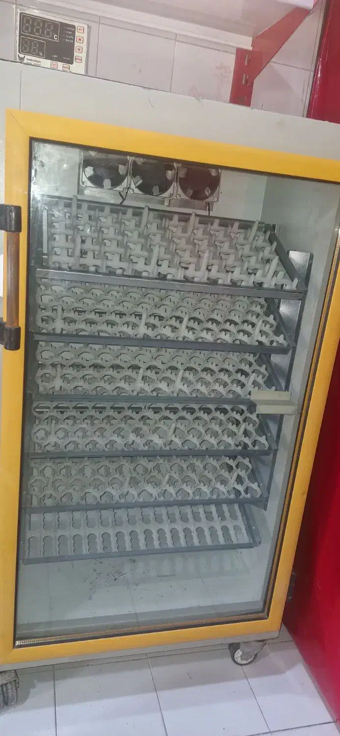 دستگاه جوجه کشی سیمرغ جنوب|لوازم جانبی حیوانات|شیراز, شیشه‌گری|دیوار