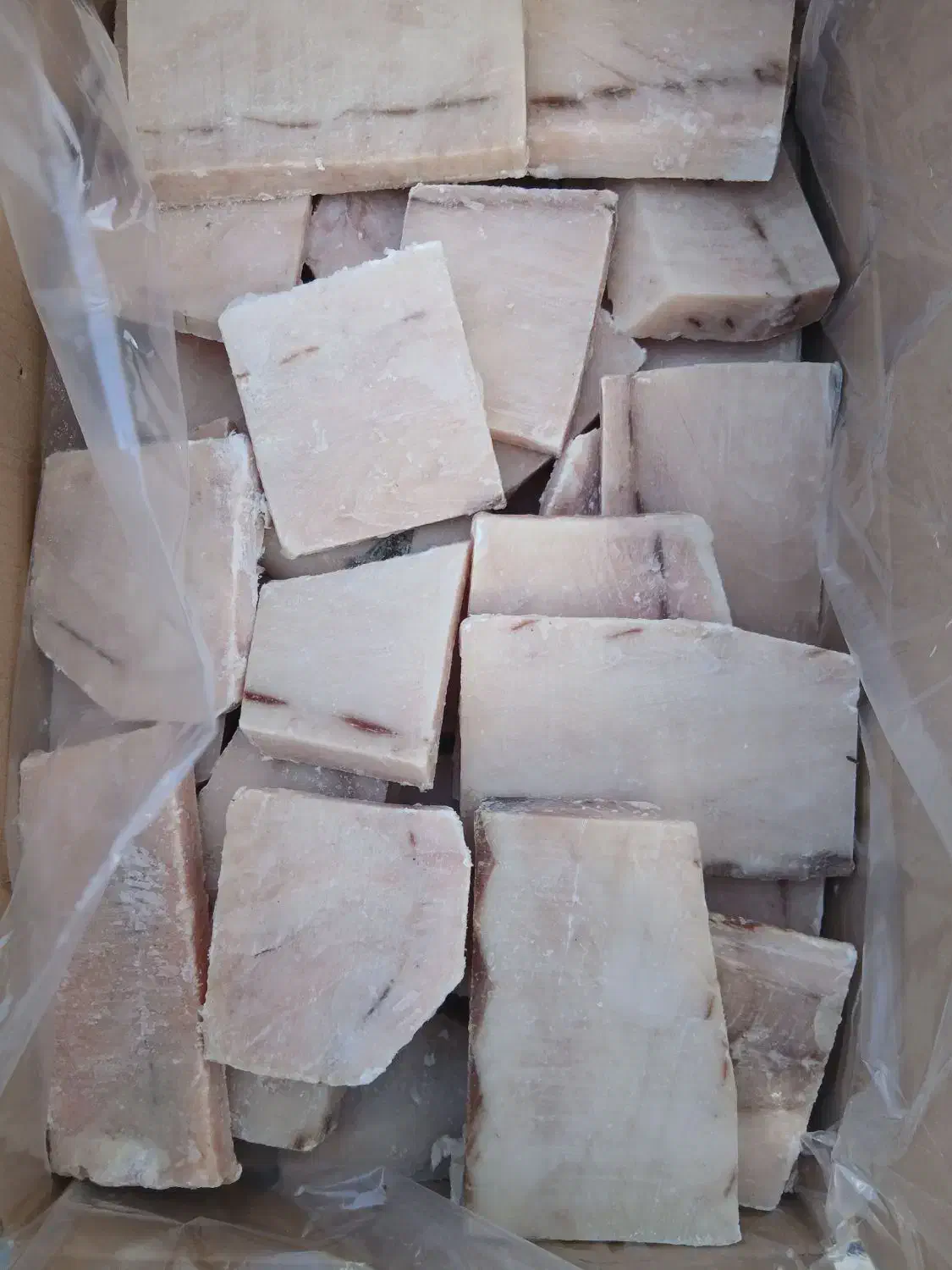 فروش انواع،ماهی،فیله ماهی..|خوردنی و آشامیدنی|تهران, هفده شهریور|دیوار