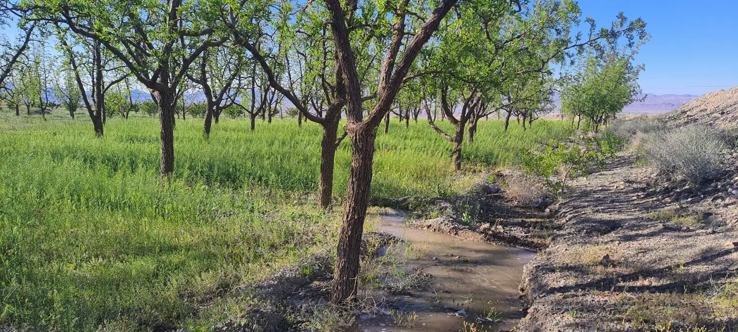 تصویر 4