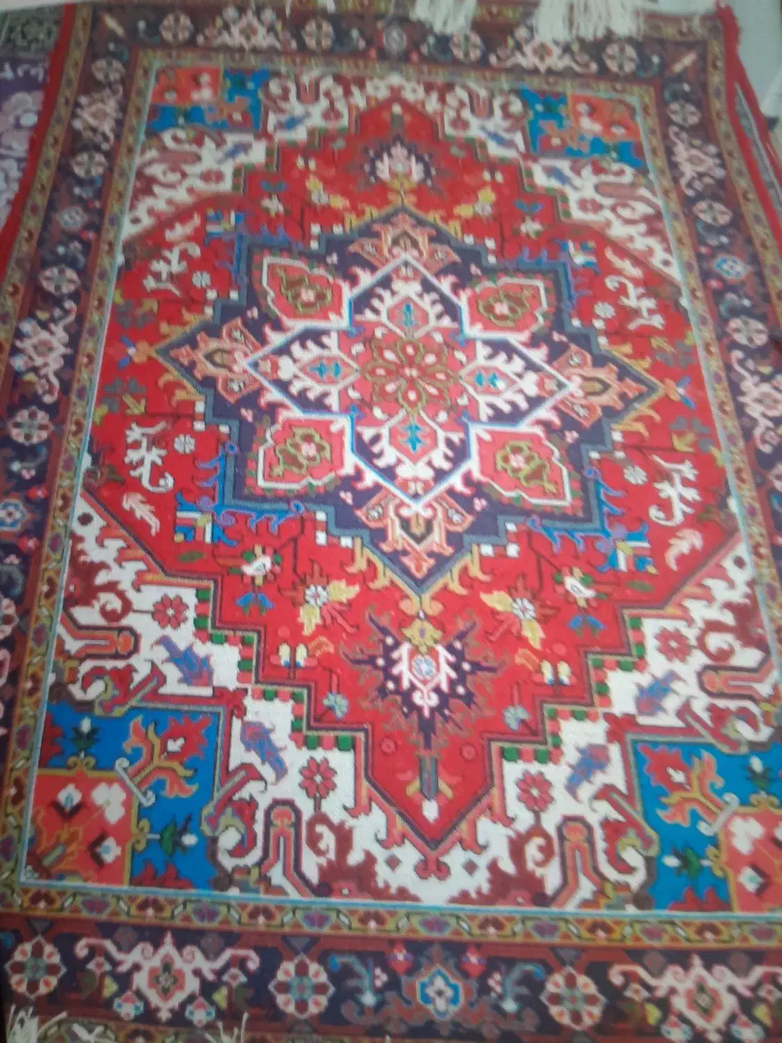 قالیچه نقش هربس تاجری|فرش|میاندوآب, |دیوار