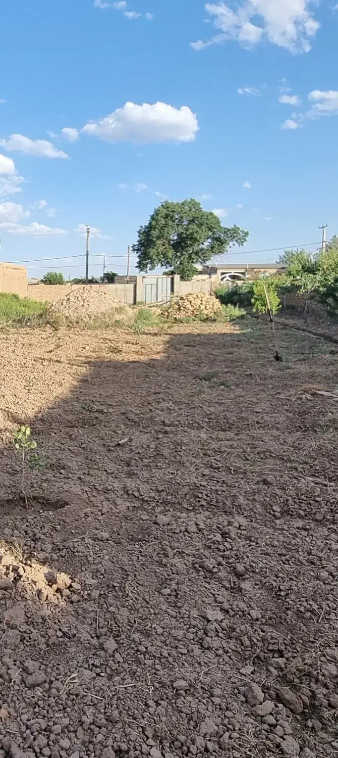 فروش زمین در بافت روستا ی صدر آباد|فروش زمین و ملک کلنگی|بوئین زهرا, |دیوار