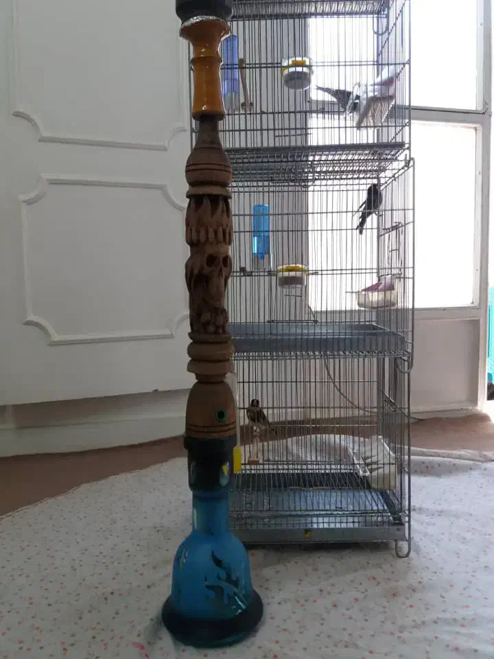 قلیون|کلکسیون و سرگرمی|مشهد, تلگرد|دیوار