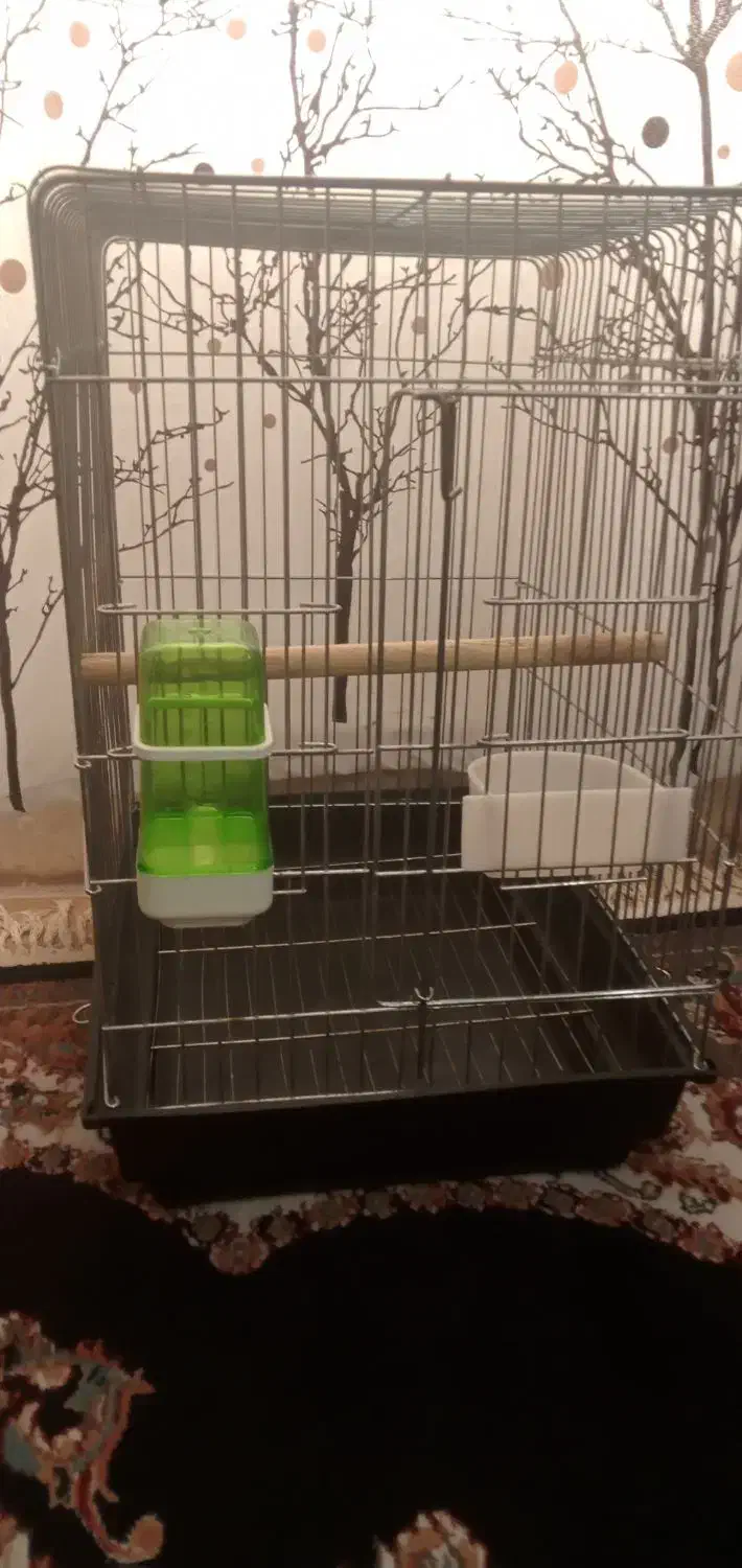 قفس 1033|لوازم جانبی حیوانات|زرندیه, |دیوار