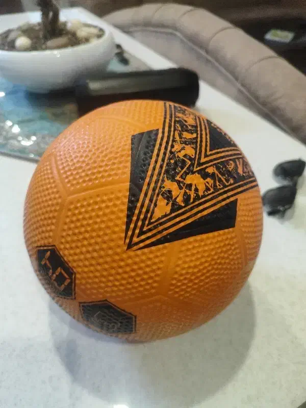 توپ|ورزشهای توپی|یزد, |دیوار