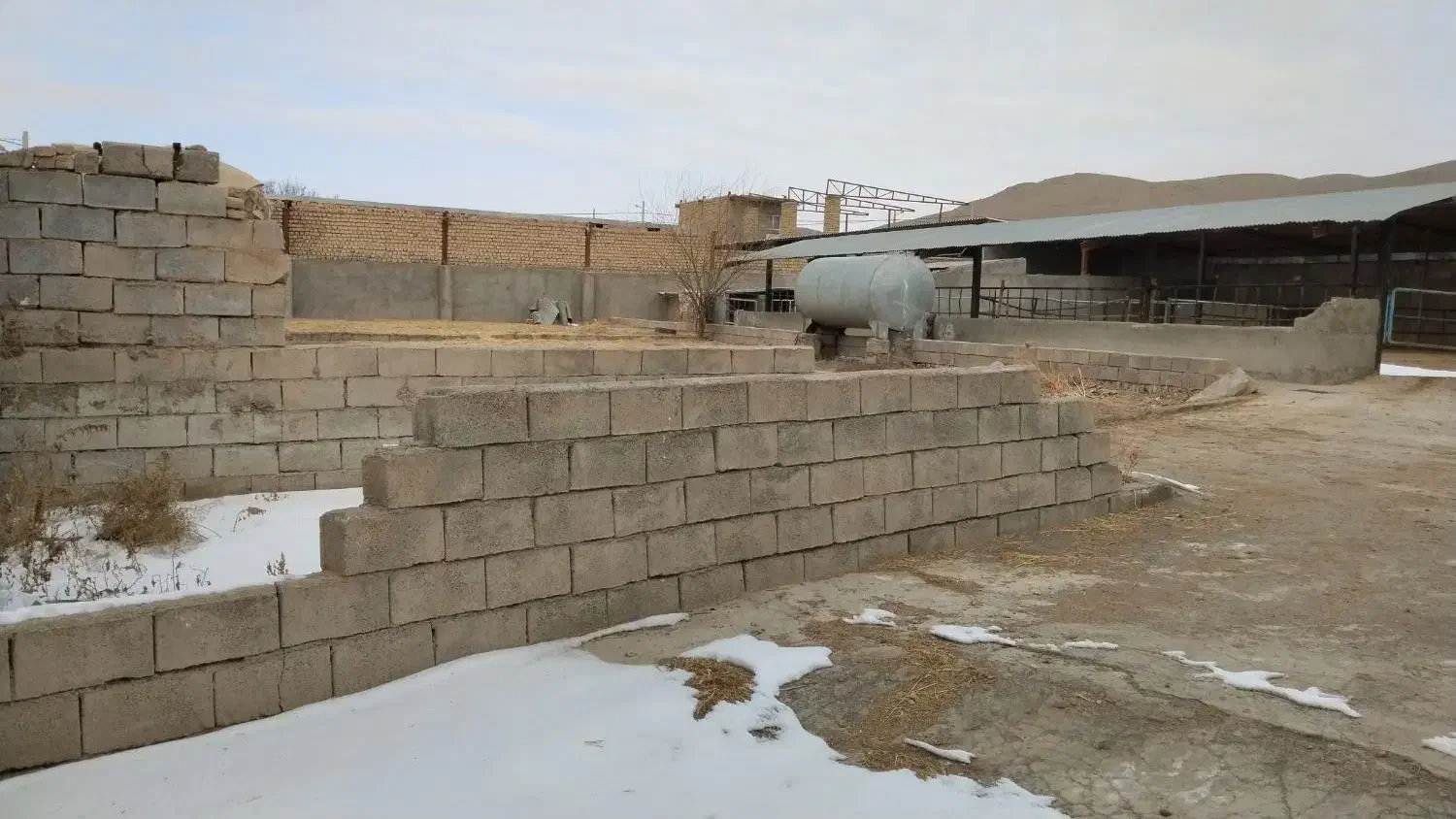 واحد1 گاوداری40راسی صنعتی مجتمع.شفق فریمان|اجارهٔ دفتر صنعتی، کشاورزی، تجاری|فریمان, |دیوار