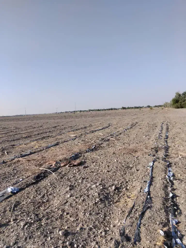 پمپ برقی زمین کشاورزی اجازه ای|فروش دفتر صنعتی، کشاورزی، تجاری|چاه داد خدا, |دیوار