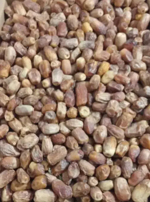 خوردنی و آشامیدنی|خوردنی و آشامیدنی|خان ببین, |دیوار