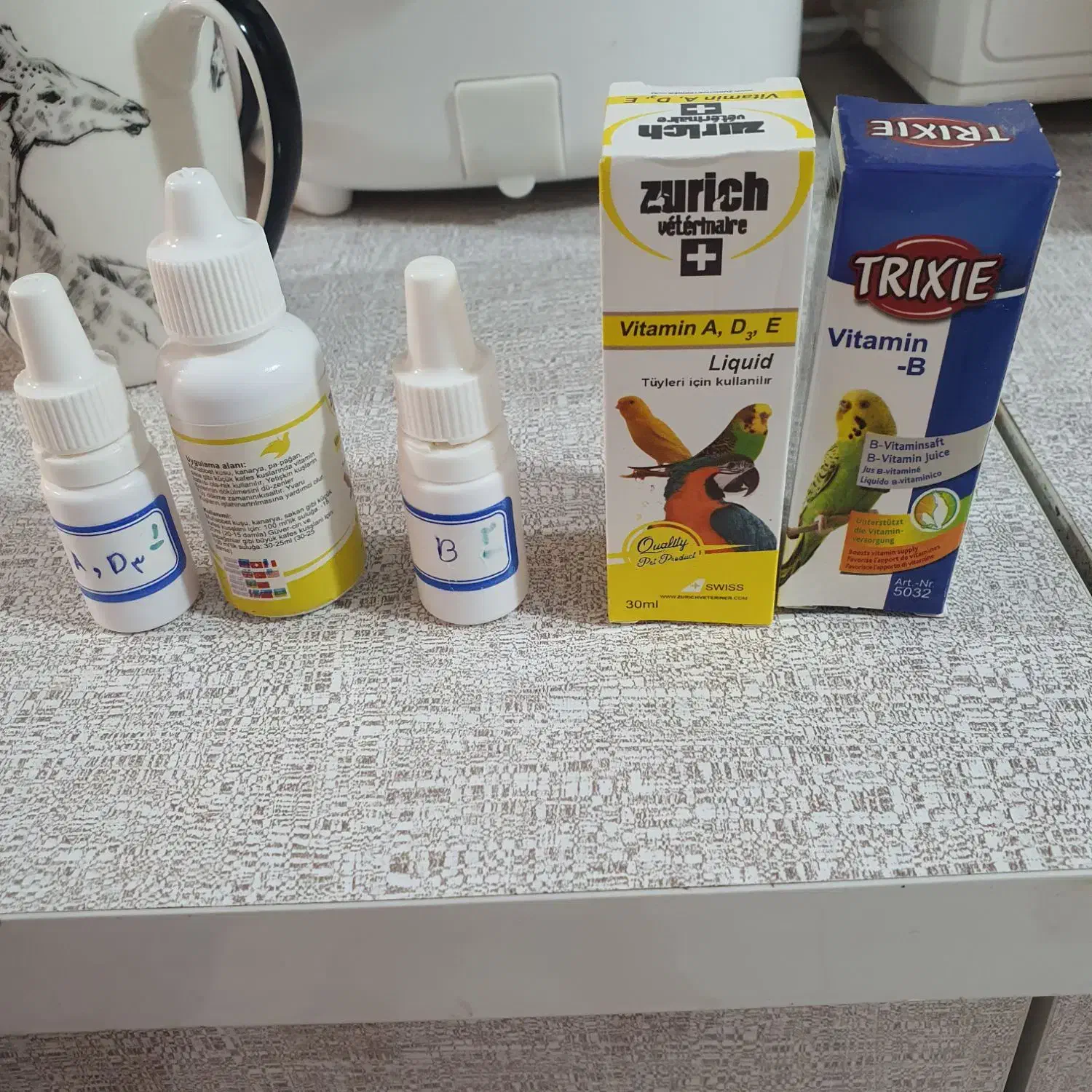 مرغ عشق با رنگبندی زیبا|پرنده|شیراز, کوشک میدان|دیوار