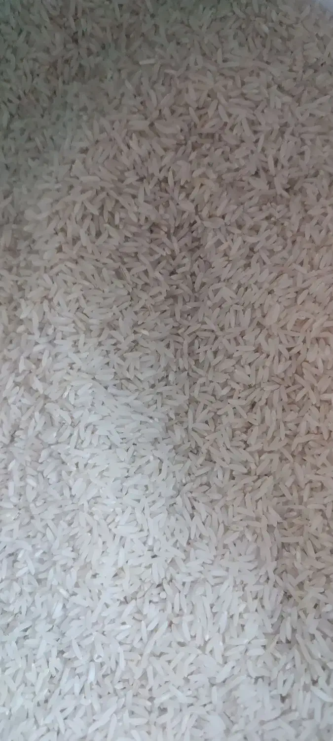 برنج دم سیاه درجه یک|خوردنی و آشامیدنی|آق قلا, |دیوار