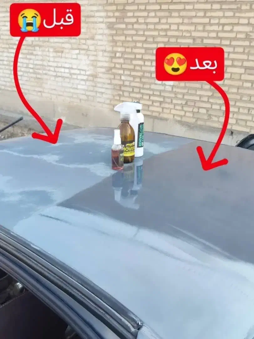 احیای رنگ خودرو تضمینی|خدمات موتور و ماشین|صدرا-فارس, فاز ۱|دیوار