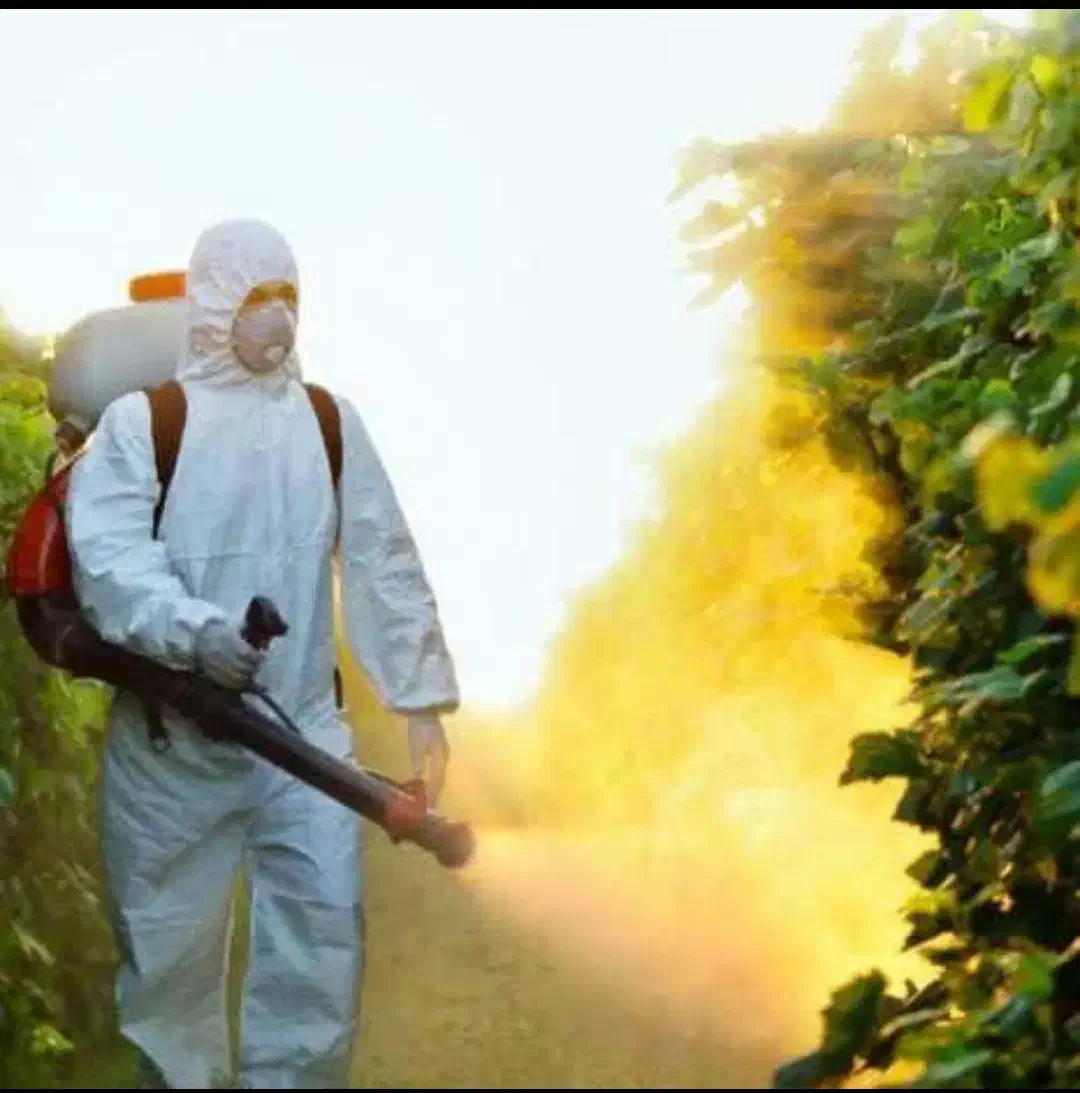 سمپاشی سوسک کابینتی موریانه زدایی 20درصد تخفیف|خدمات نظافت|دزفول, |دیوار