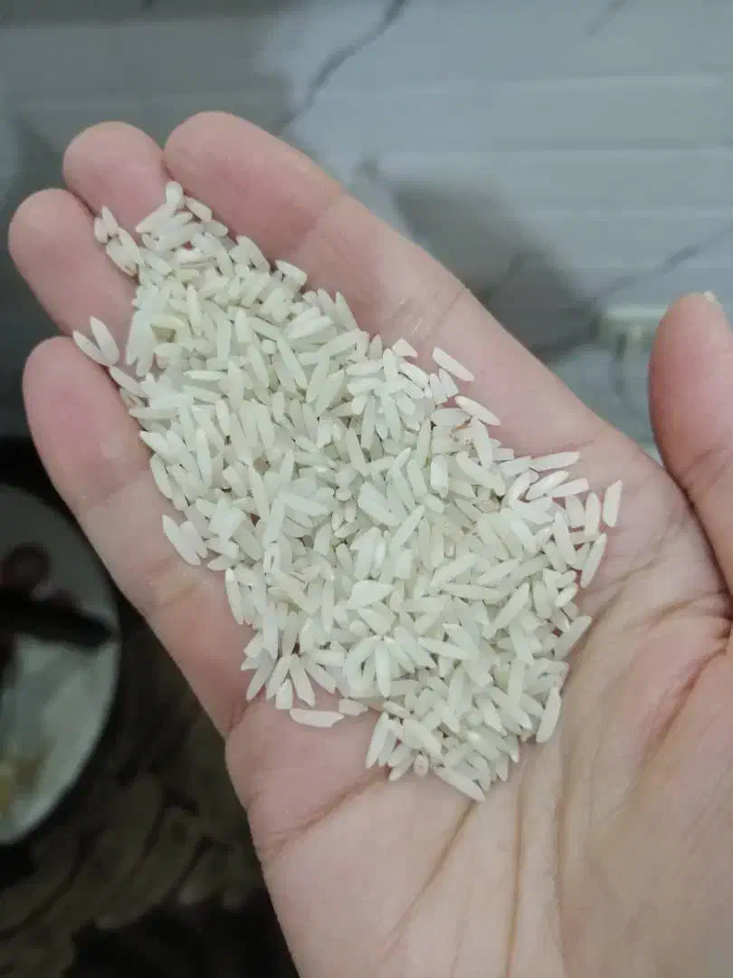 برنج هاشمی لاشه|خوردنی و آشامیدنی|بندر انزلی, انقلاب|دیوار