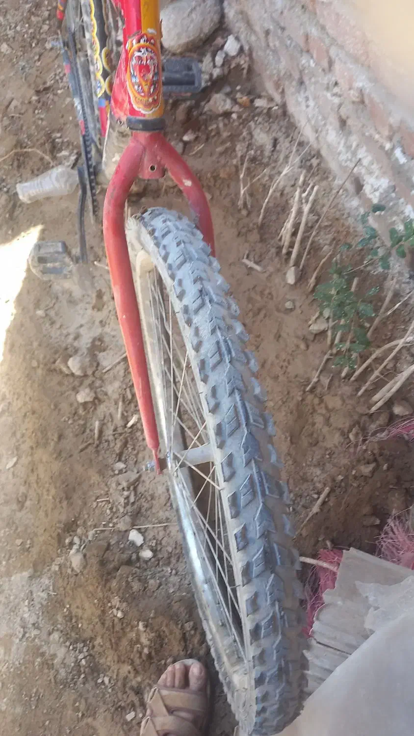 دوچرخه ۲۶|دوچرخه، اسکیت، اسکوتر|خاش, |دیوار