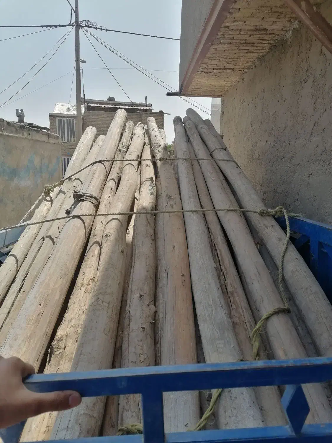 خرید چوب|خدمات باغبانی و درختکاری|گلبهار, شهر جدید گلبهار|دیوار