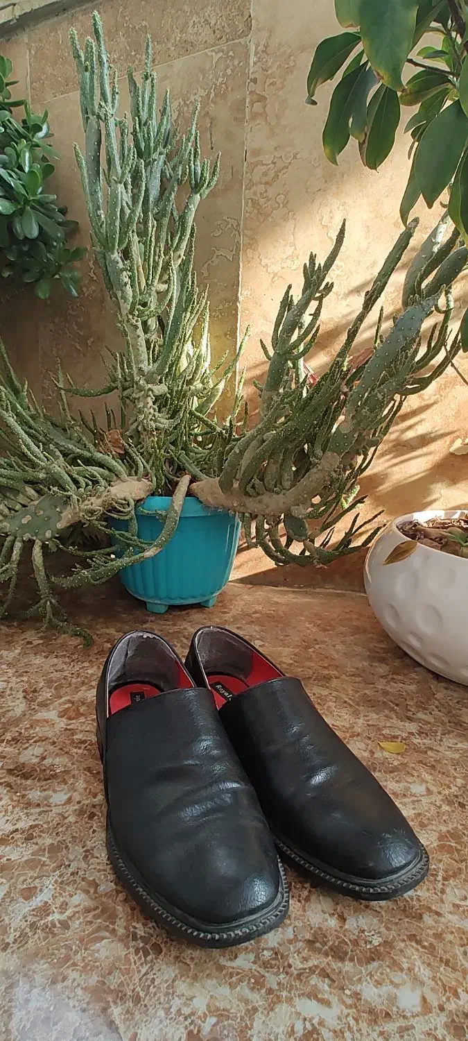 کفش در حد نو|کیف، کفش، کمربند|ساری, |دیوار