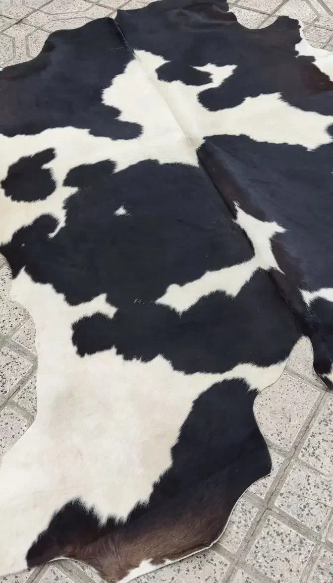 پ وست دباغی شده گاو|فرش|مشهد, هنرستان|دیوار