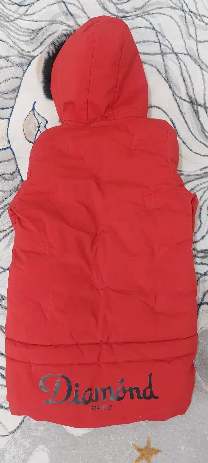 کاپشن|لباس|سنندج, |دیوار