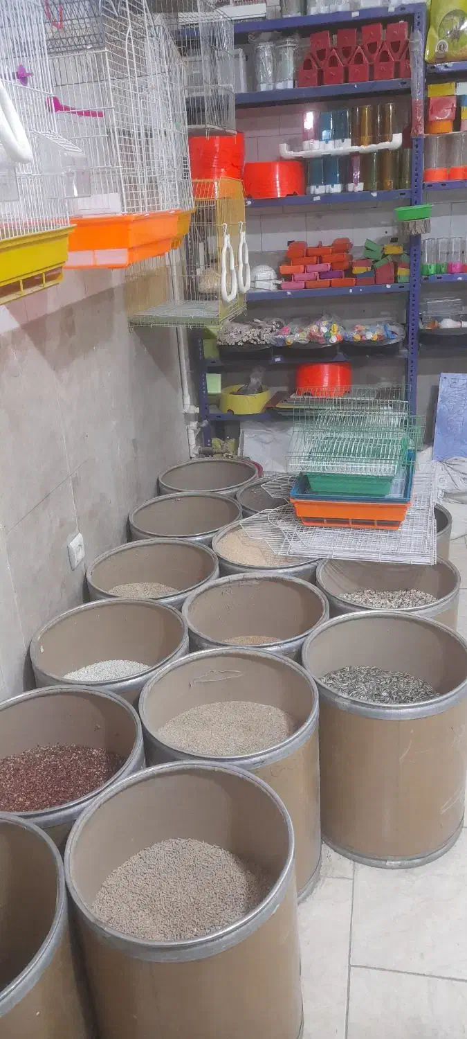 خوراک پرندگان|لوازم جانبی حیوانات|شاهین‌شهر, شهرک گلدیس|دیوار