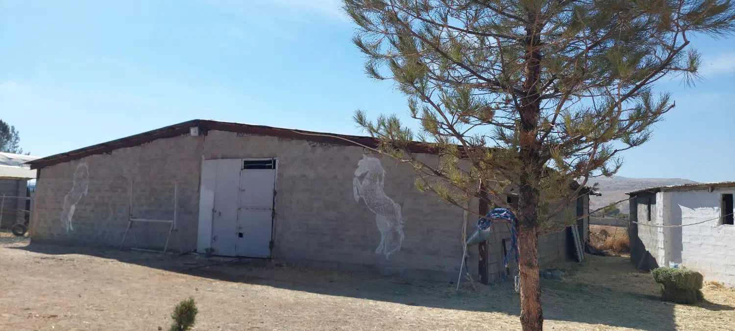 پانسیون اسب|اسب و تجهیزات اسبسواری|سیاخ دارنگون, |دیوار