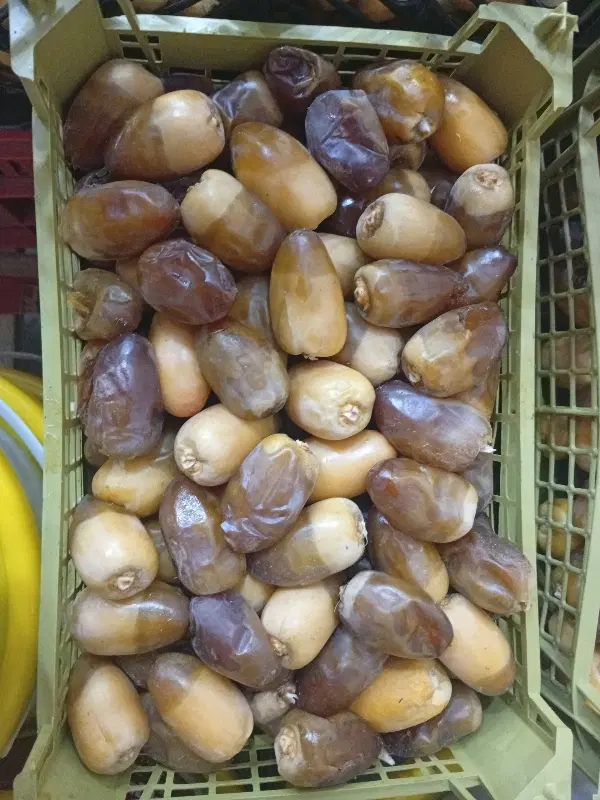 رطب|خوردنی و آشامیدنی|کرج, محمد آباد|دیوار