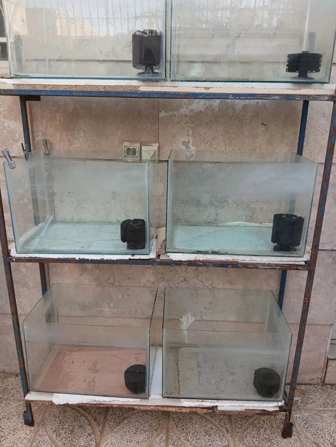 آکواریوم وپایه|ماهی|برخوار, |دیوار