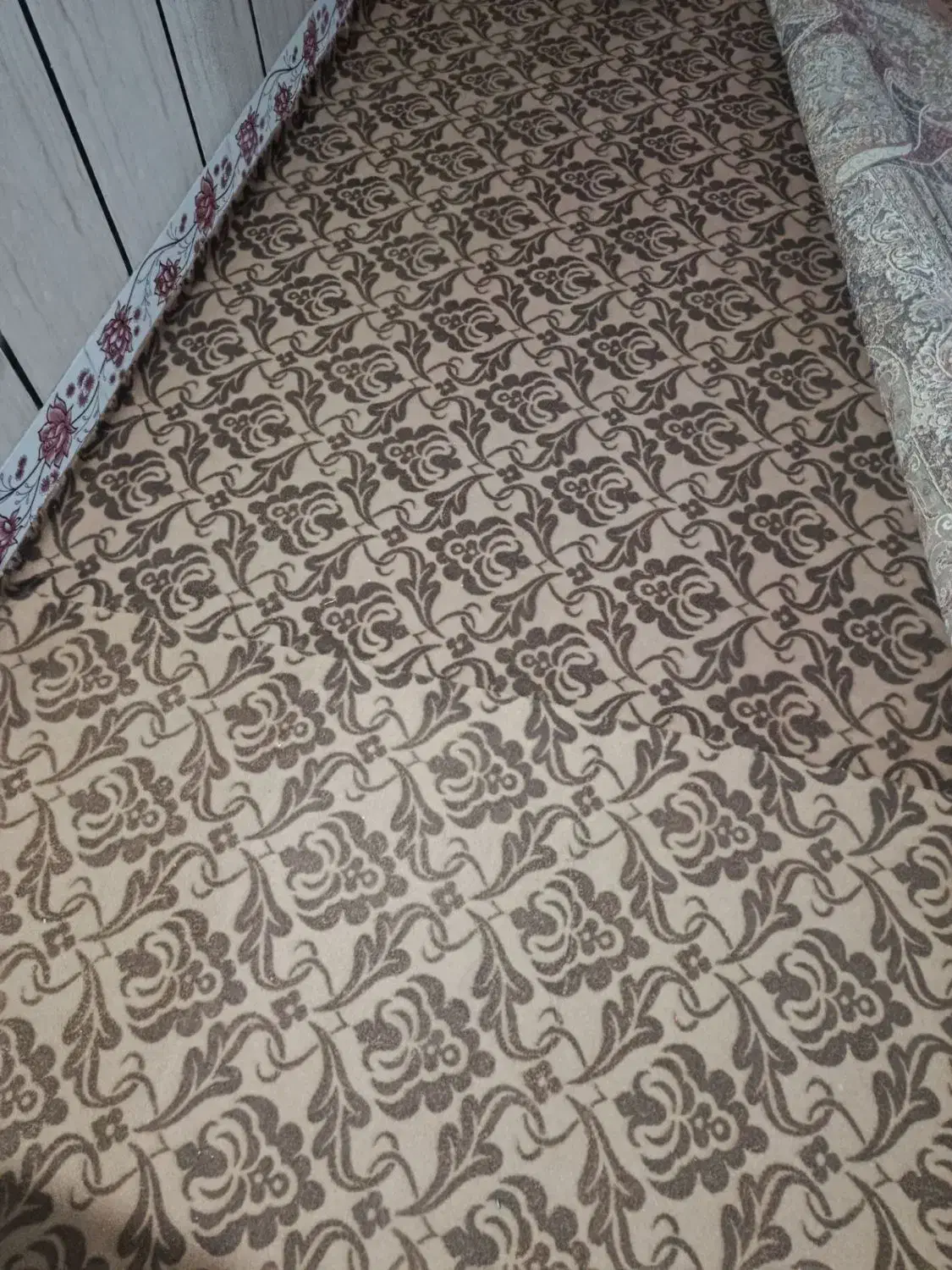 موکت در حد|موکت|دلند, |دیوار