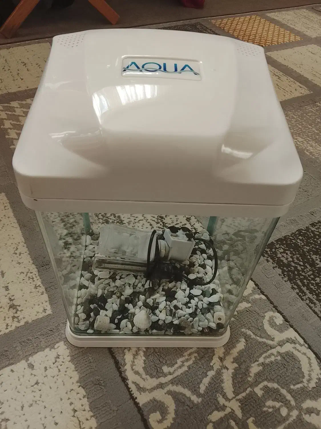 آکواریوم کاملا سالم همراه با وسایل|ماهی|مشهد, یوسفیه (شهرک غرب)|دیوار