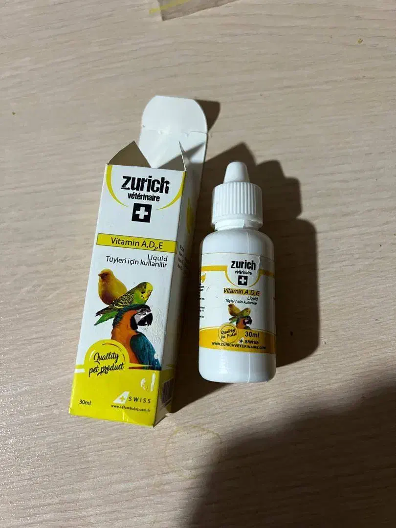 مرغ‌عشق‌نر‌سالم|پرنده|مریوان, |دیوار