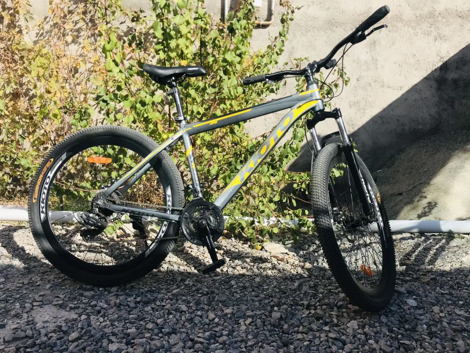 دوچرخه|دوچرخه، اسکیت، اسکوتر|شوط, |دیوار