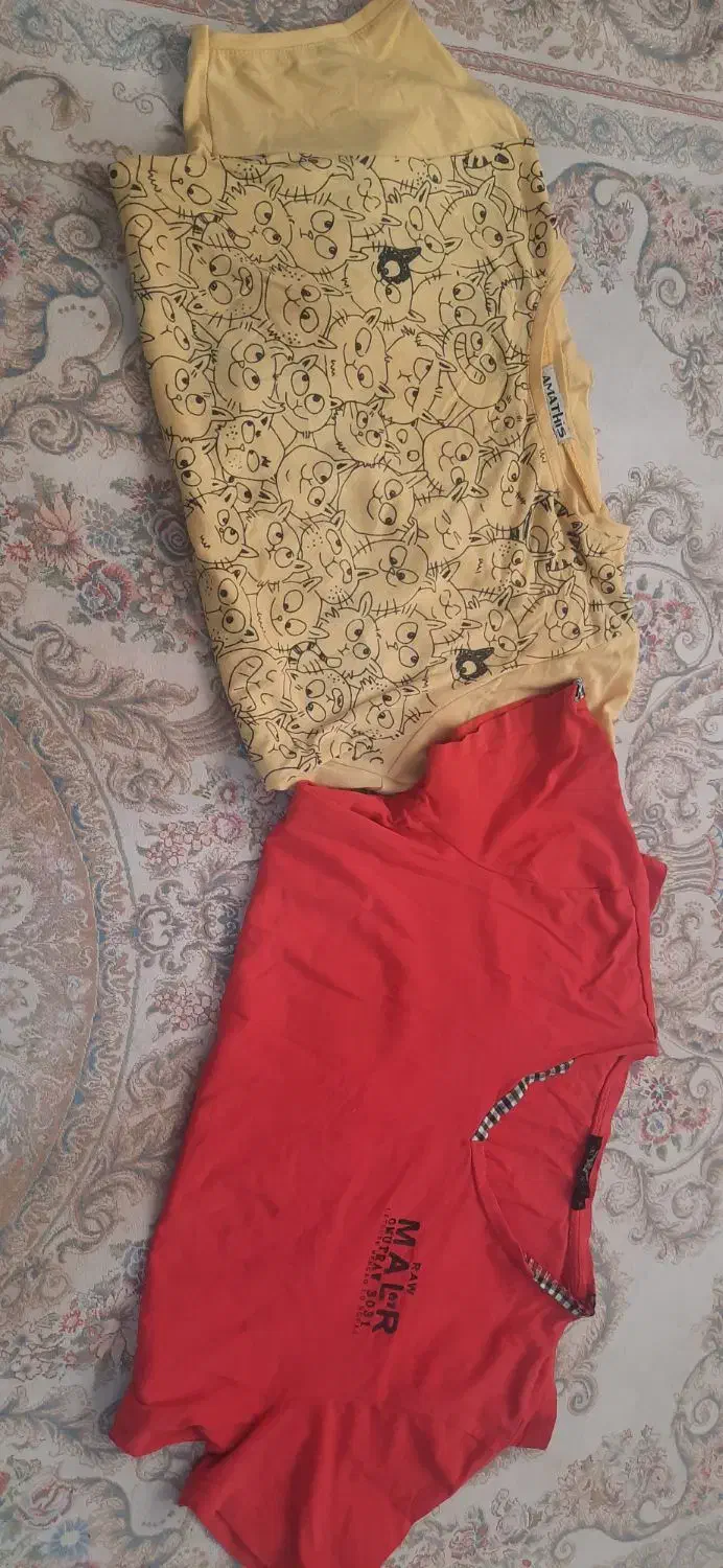 دو عدد تیشرت دخترونه|لباس|فیروزآباد (فارس), |دیوار