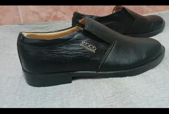 کفش چرم|کیف، کفش، کمربند|زابل, |دیوار