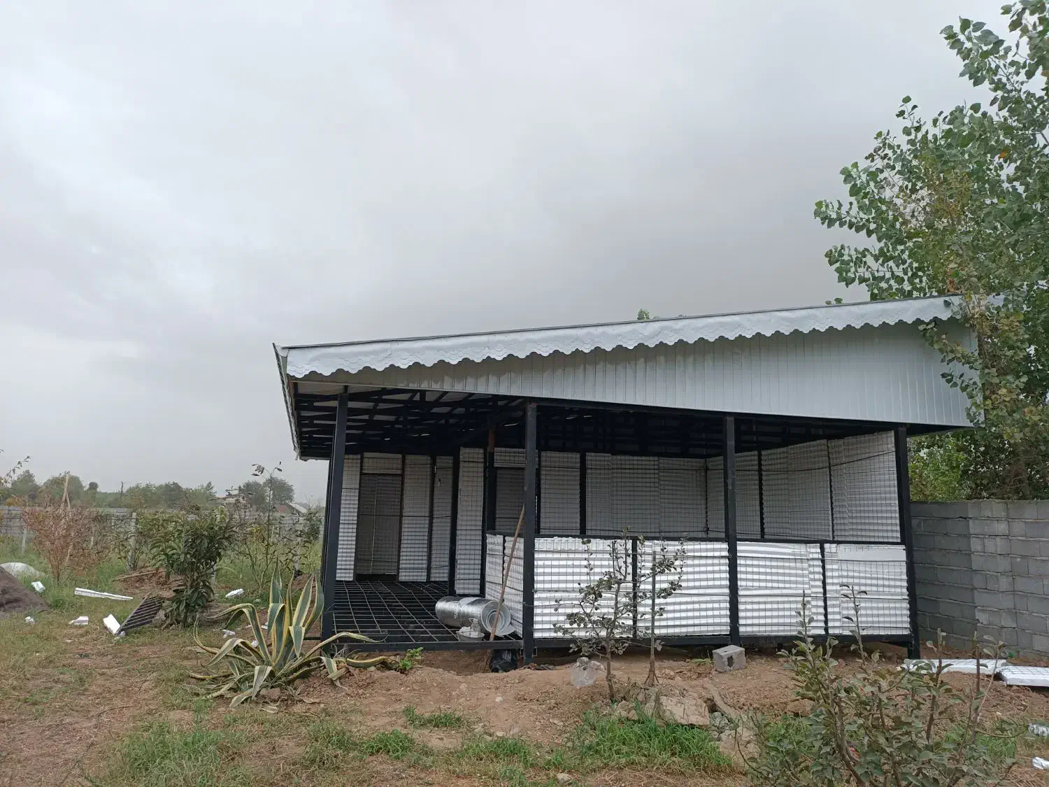 حلب زنی|خدمات پیشه و مهارت|لاهیجان, قیام|دیوار