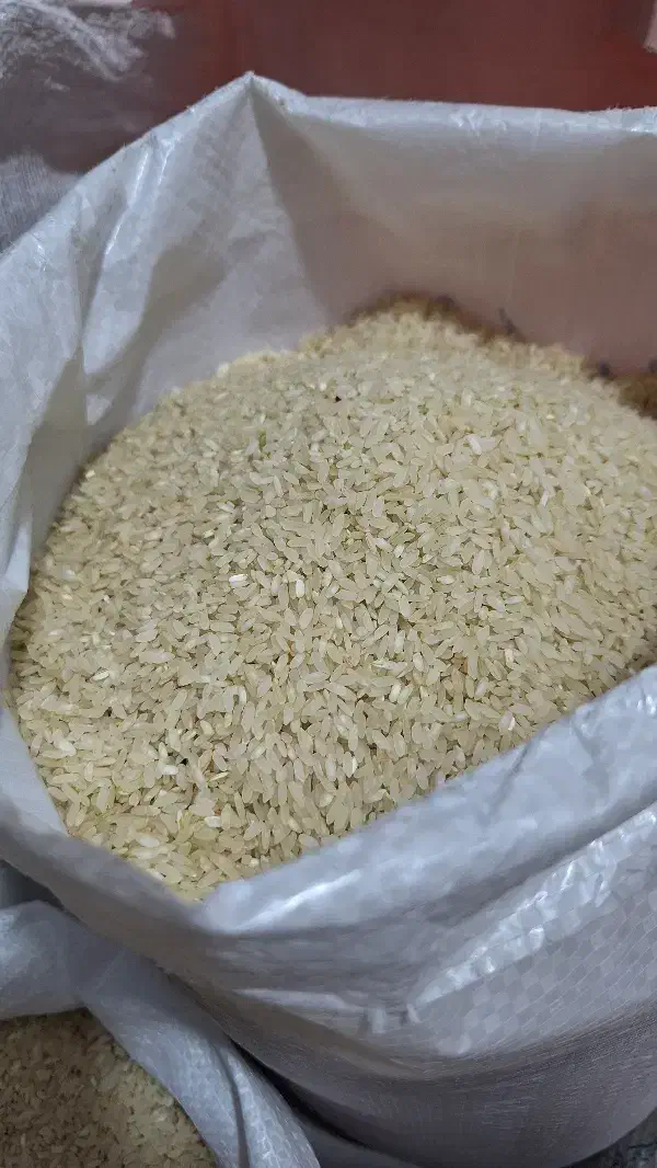 برنج و نیم دانه کامفیروزی درجه یک|خوردنی و آشامیدنی|شیراز, قلعه شاهزاده بیگم|دیوار