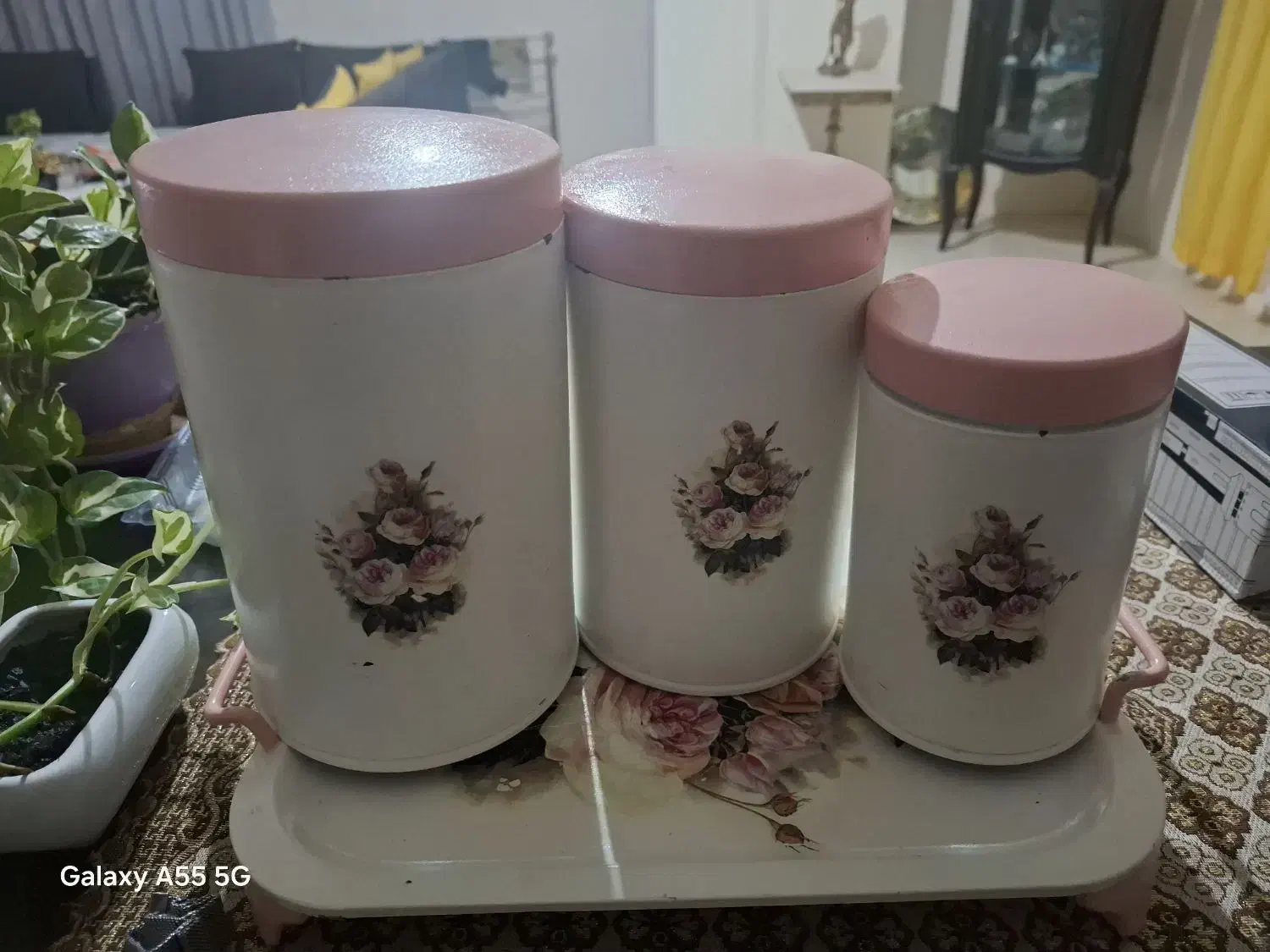 بانکه حبوبات و سینی|ظروف نگهدارنده، پلاستیکی، یک‌بارمصرف|بندر انزلی, معلم|دیوار