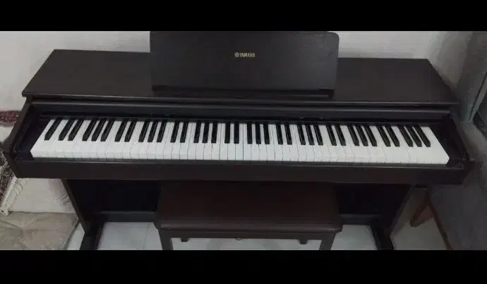پیانو یاماها ydp 101 سه پدال کم کارکرد|پیانو، کیبورد، آکاردئون|تبریز, |دیوار