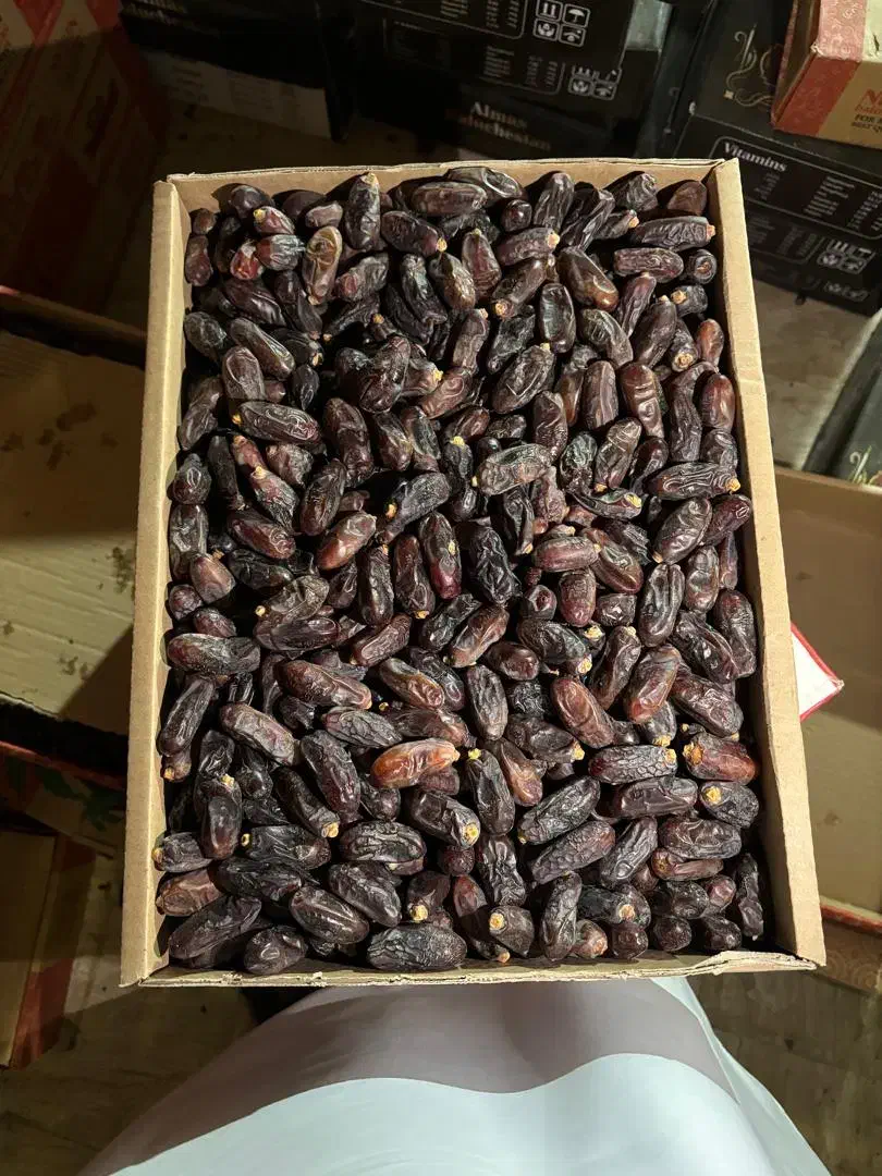 خرما|عمده‌فروشی|ایرانشهر, |دیوار