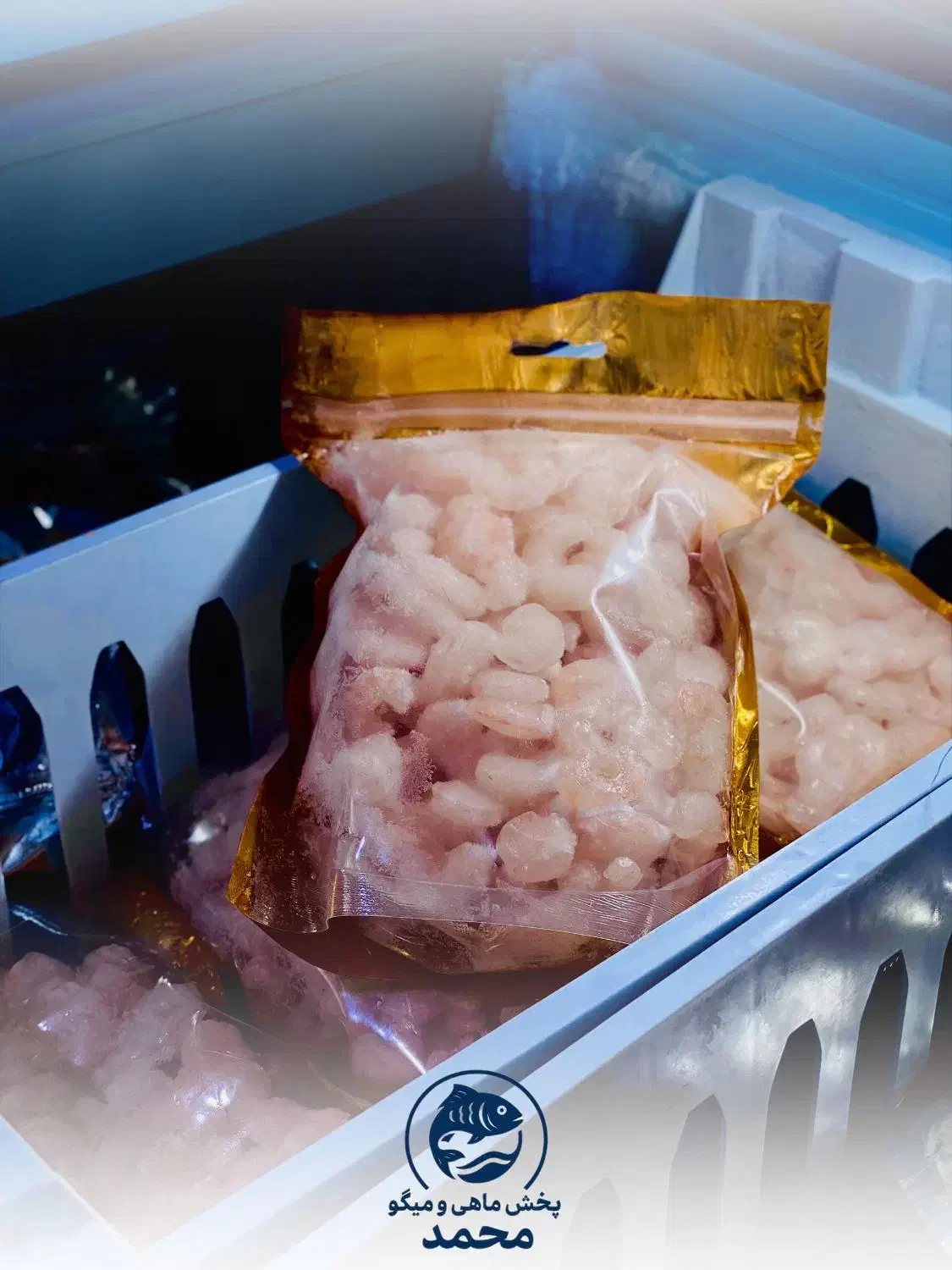 میگو کیلویی|ماهی|خرمشهر, |دیوار