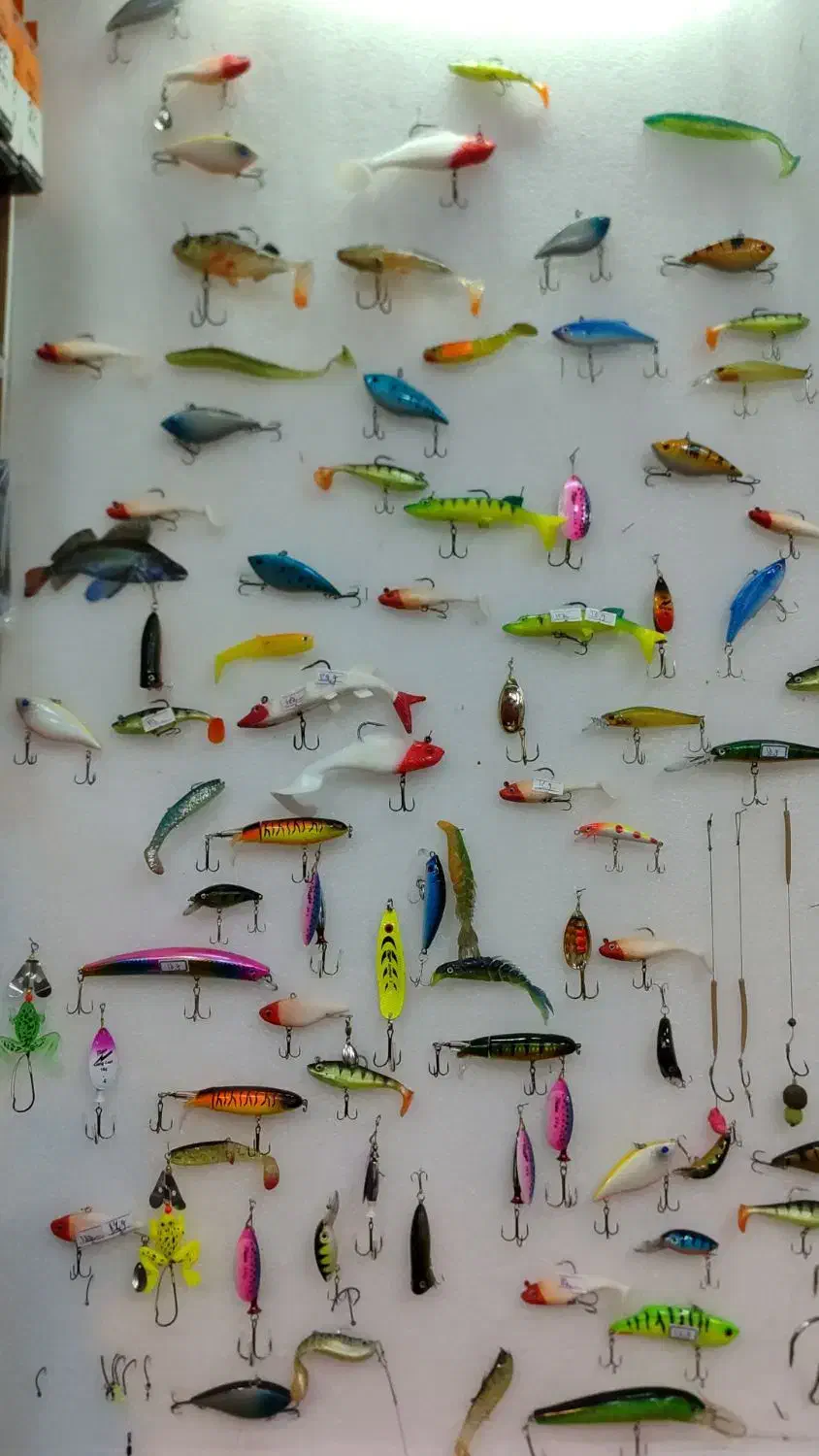 لوازم ماهیگیری و کمپینگ رجایی 24|ماهیگیری|ساوه, |دیوار