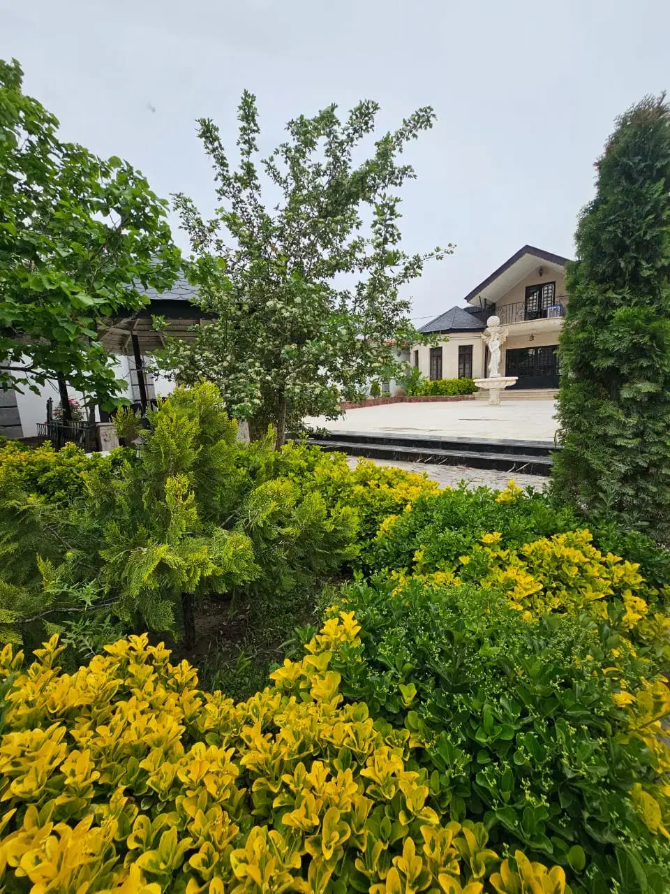 مدیر داخلی|استخدام درمانی، زیبایی، بهداشتی|مشهد, وکیلآباد|دیوار