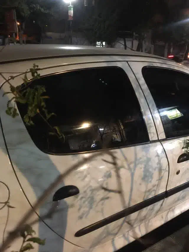 ۲۰۶|خودرو سواری و وانت|تهران, هرندی|دیوار