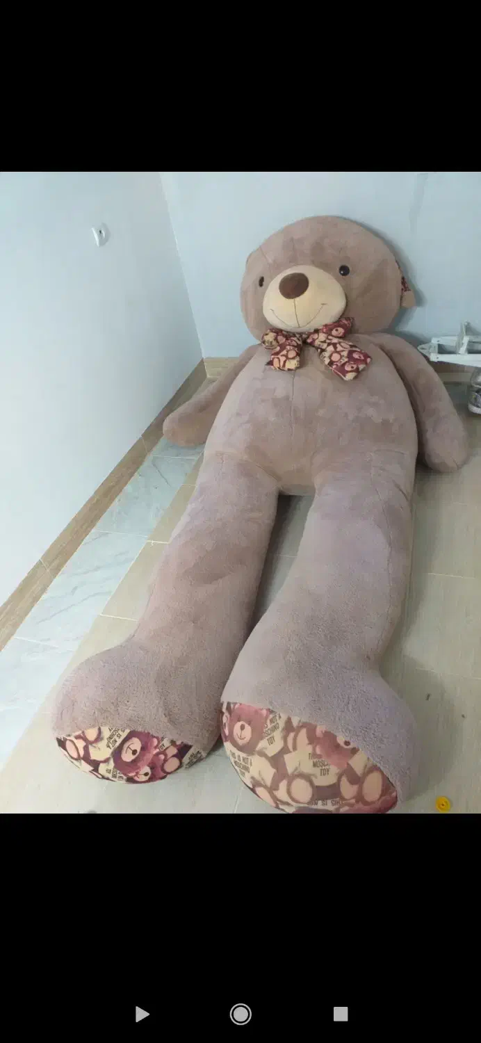 بزرگترین خرس یزد|اسباببازی|یزد, |دیوار