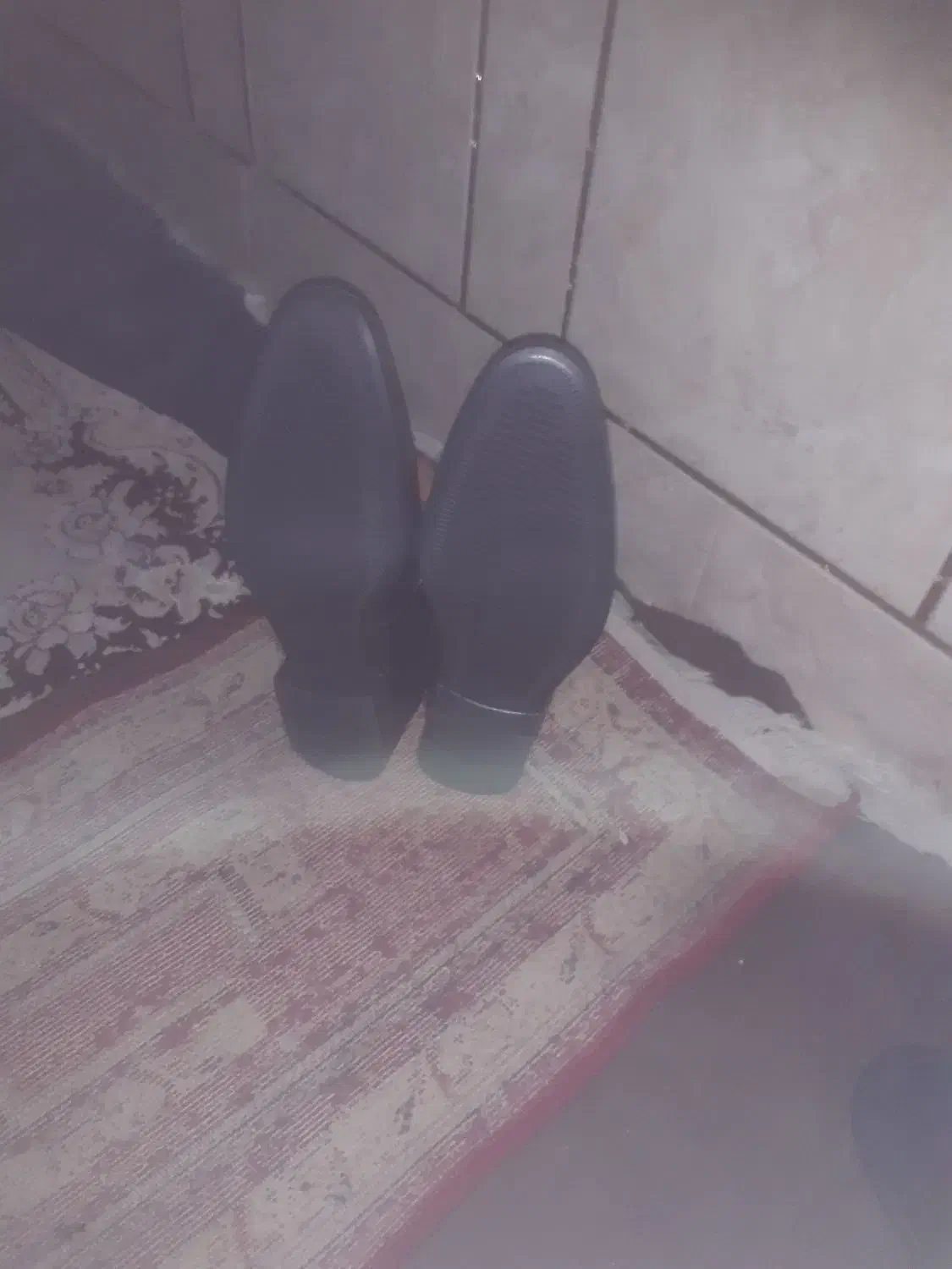 کفش چرمی|کیف، کفش، کمربند|مرودشت, ابوذر جنوبی|دیوار