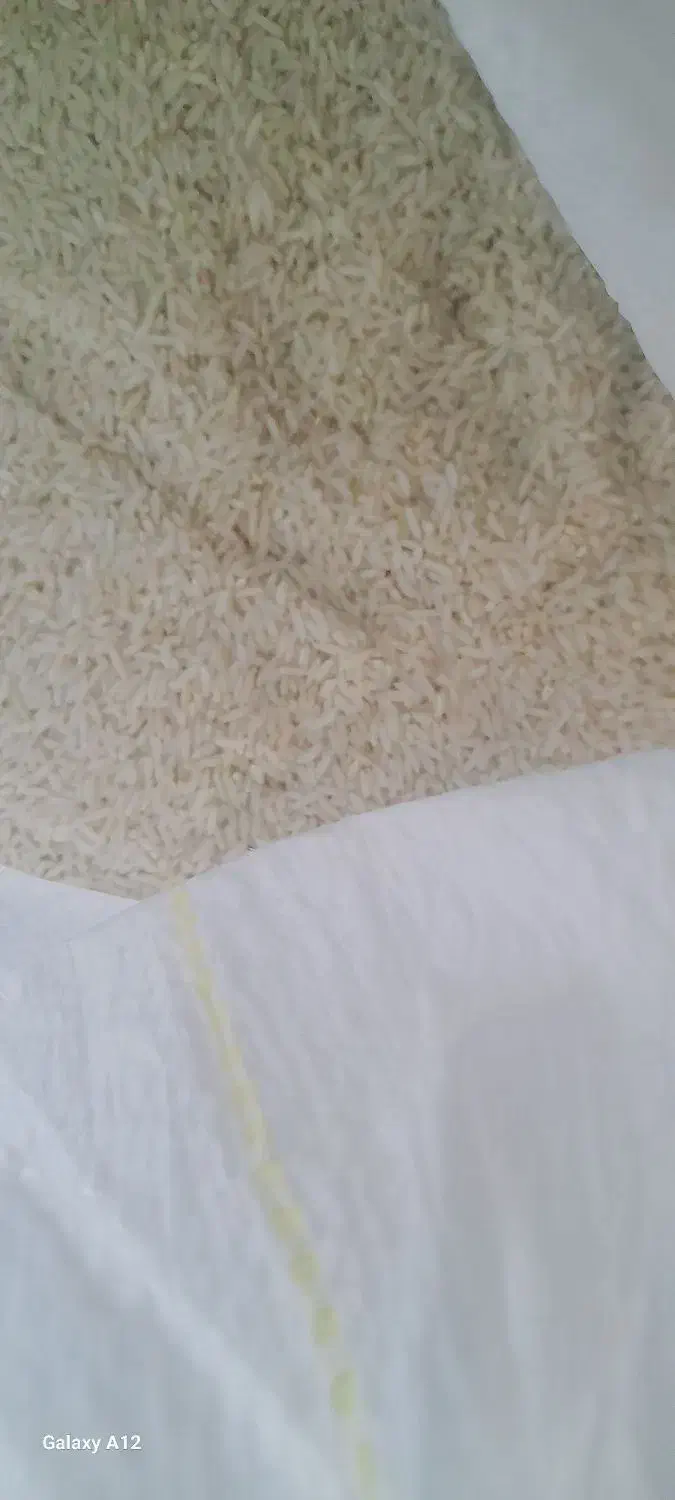 برنج محلی هاشمی|خوردنی و آشامیدنی|بیرانوند, |دیوار