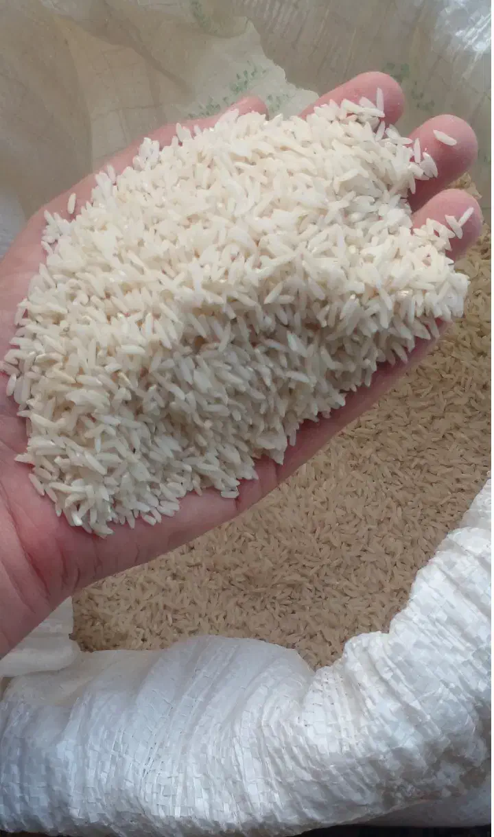 برنج هاشمی|خوردنی و آشامیدنی|رشت, توشیبا|دیوار