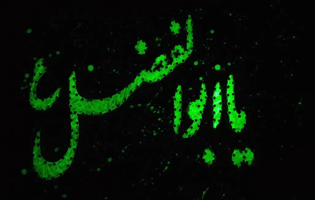 تابلو میخ و نخ|صنایع دستی و سایر لوازم تزئینی|گرگان, |دیوار